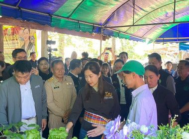 รัฐมนตรีช่วยว่าการกระทรวงเกษตรและสหกรณ์และอธิบดีกรมส่งเสริมสหกรณ์ ลงพื้นที่จังหวัดหนองคาย พบปะเครือข่ายเกษตรกรรุ่นใหม่ (Young Smart Farmer)เยี่ยมชมกลุ่มวิสาหกิจชุมชนเกษตรปลอดภัยบ้านไร่ชมภู ... พารามิเตอร์รูปภาพ 1